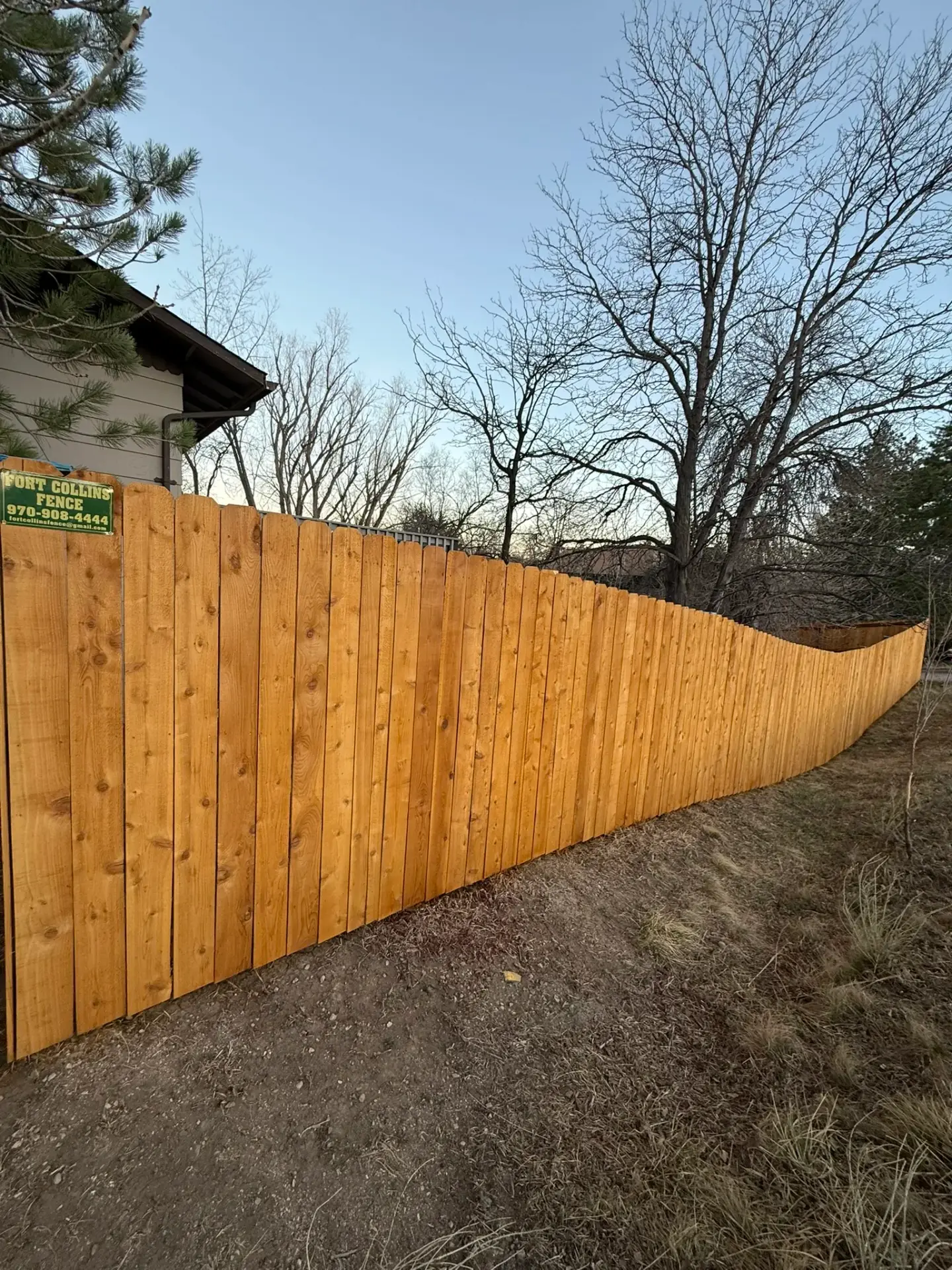 Freshly installed cedar fence with a Fort Collins Fence job sign