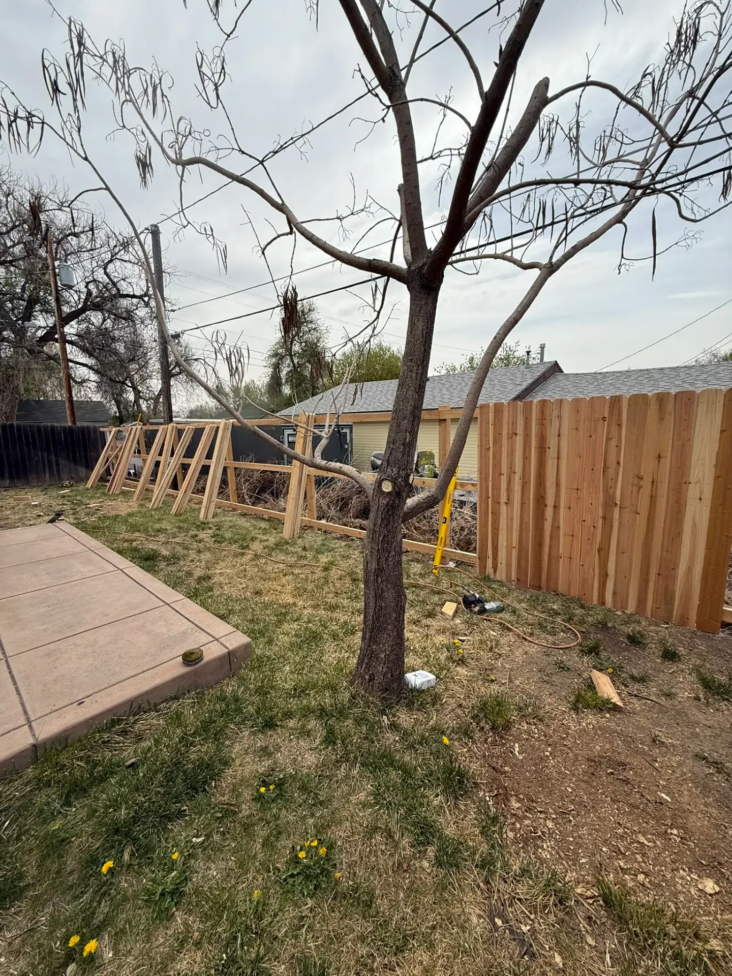 Cedar fence build in progress