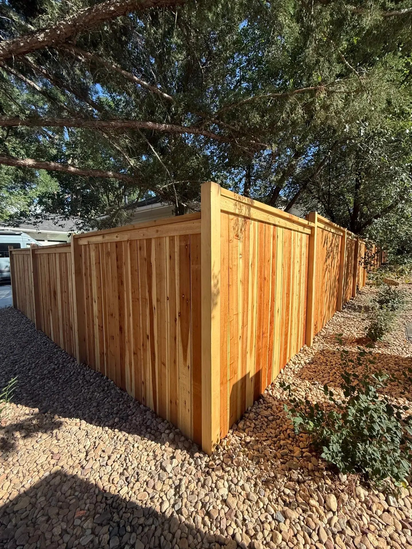 Cedar privacy fence with board-and-batten cap