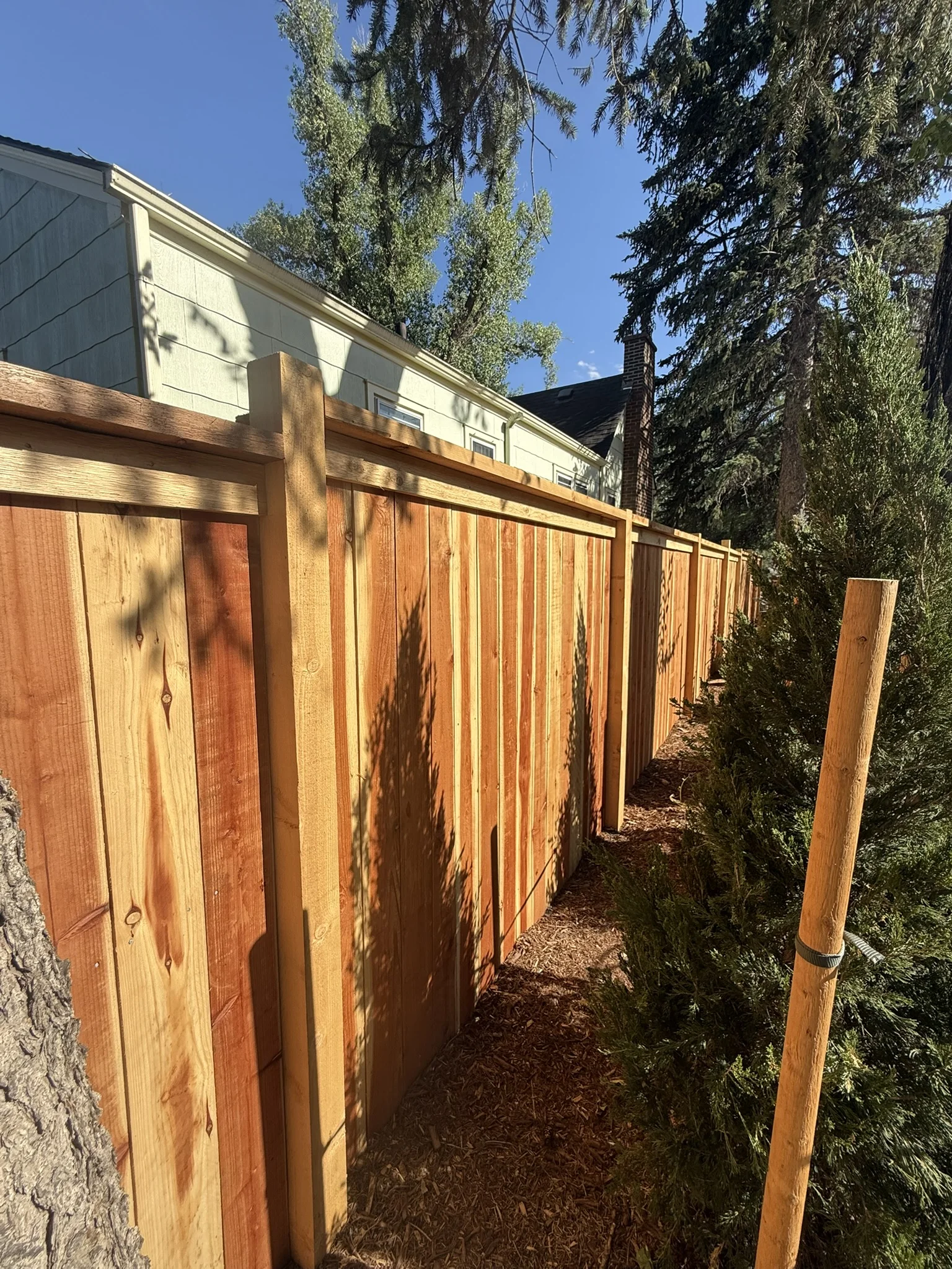 Cedar double gate with diagonal Z-brace
