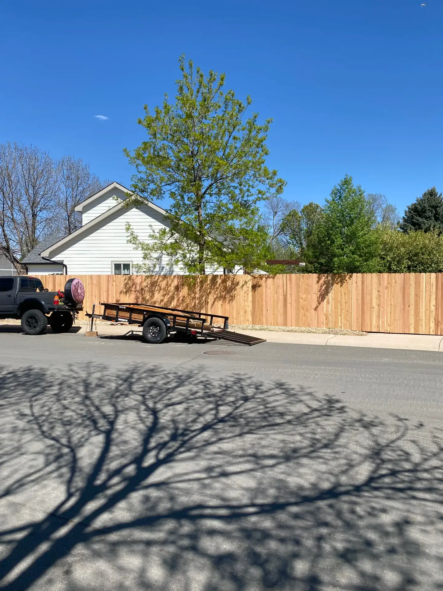 Cedar privacy fence along a residential street